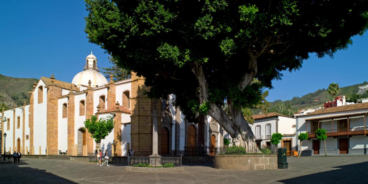 Muestra de Vinos y Quesos, en Teror