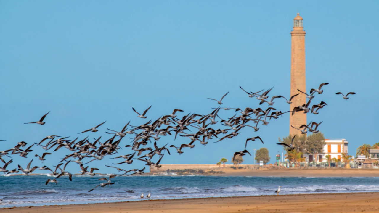 Maspalomas