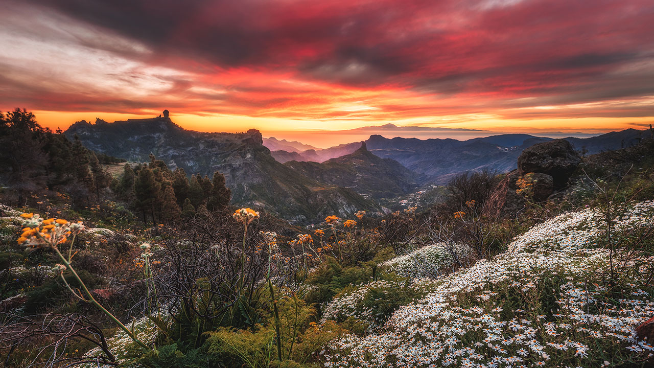 Roque Nublo and Roque Bentayga