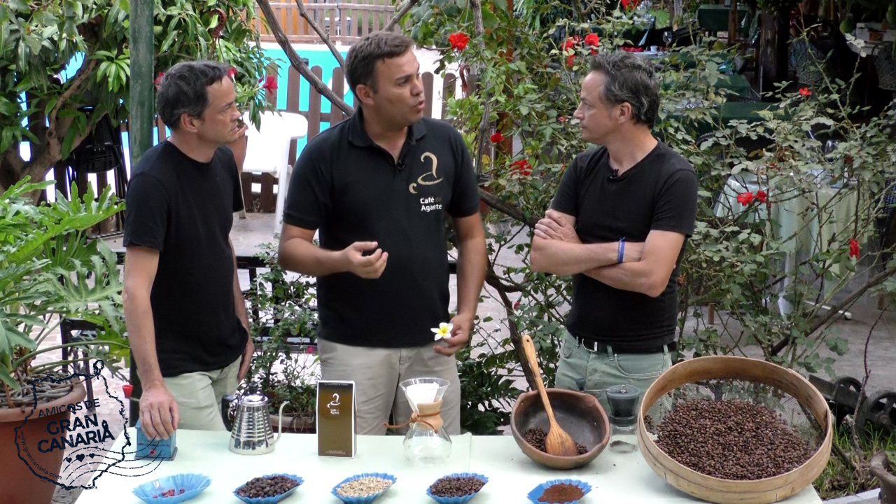 Los cocineros y Hermanos Torres reciben información sobre el cultivo del Café en Gran Canaria
