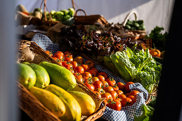 Puestos de frutas y verduras de la feria KM.0 Gran Canaria