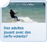 Des adultes jouant avec des cerfs-volants?